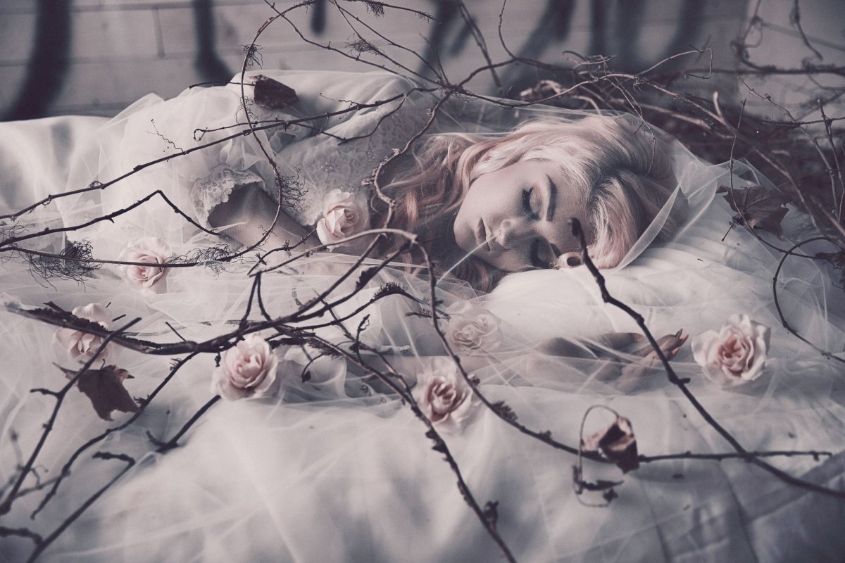 Алиса Щербакова Москва