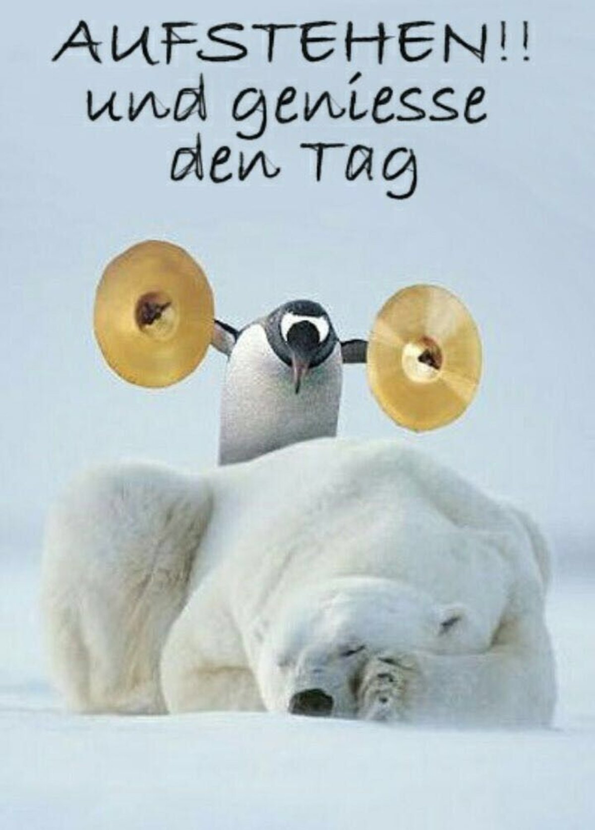 Проснулись доброе утро