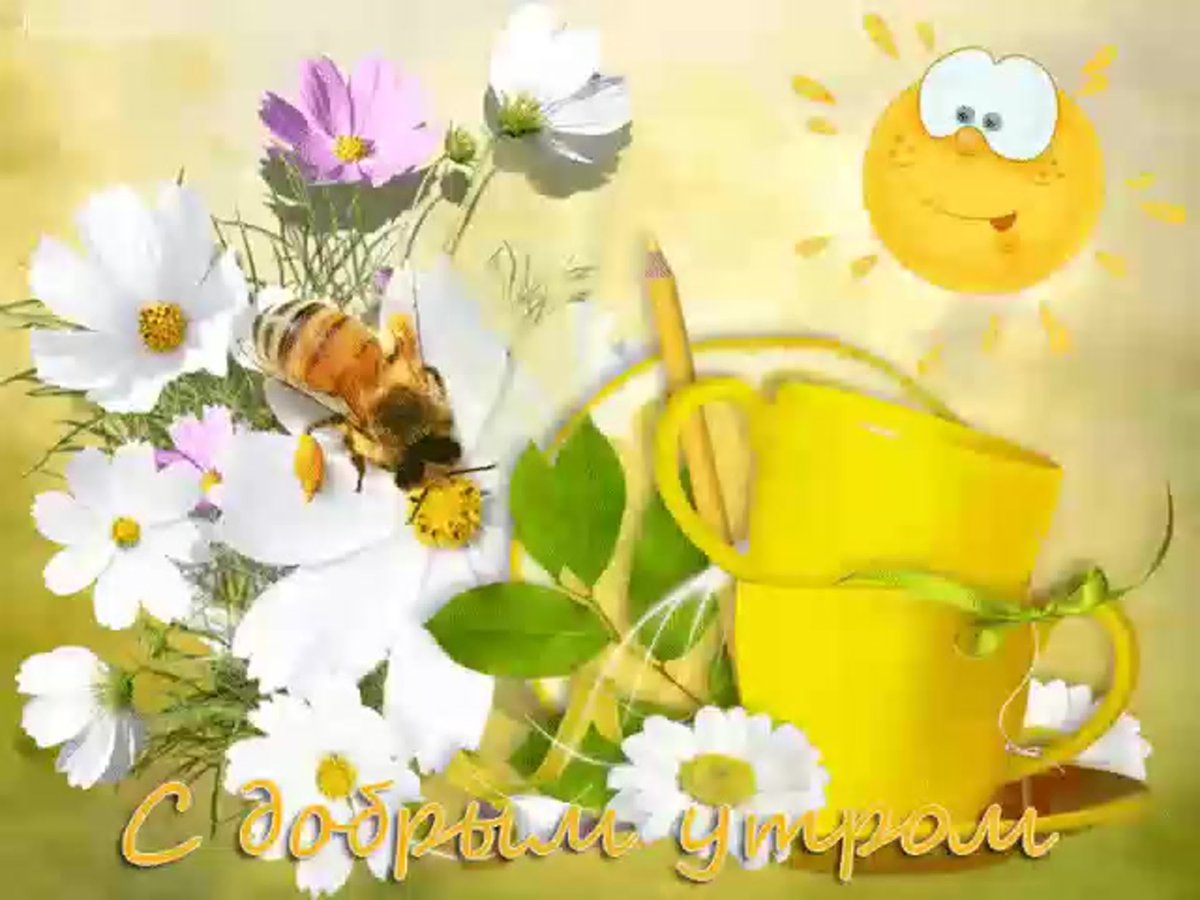 Добрый день Пчелка