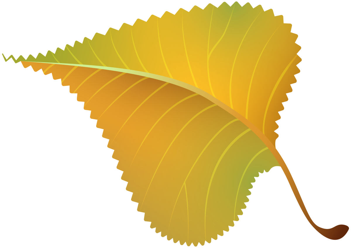 Желтые листочки