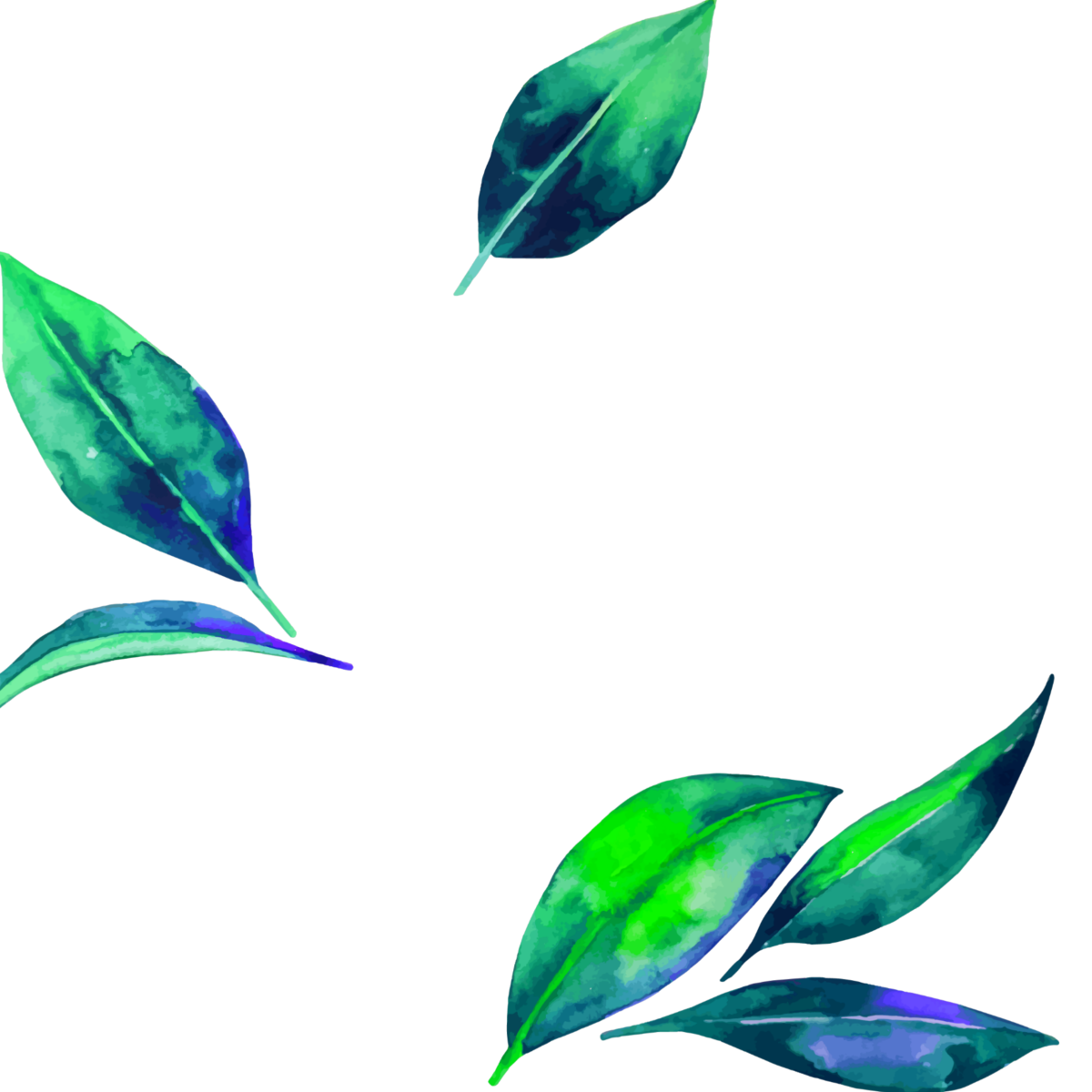 Листья акварель