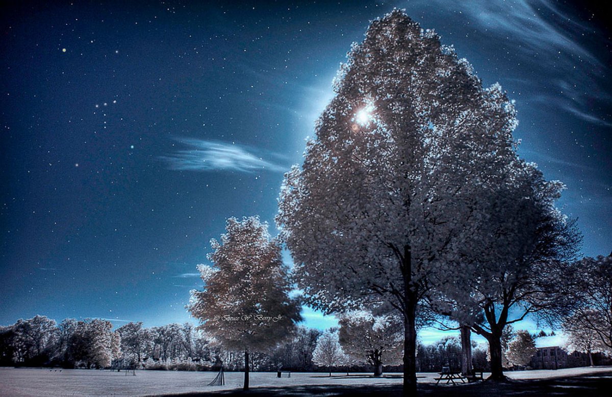 Необычной зимней ночи