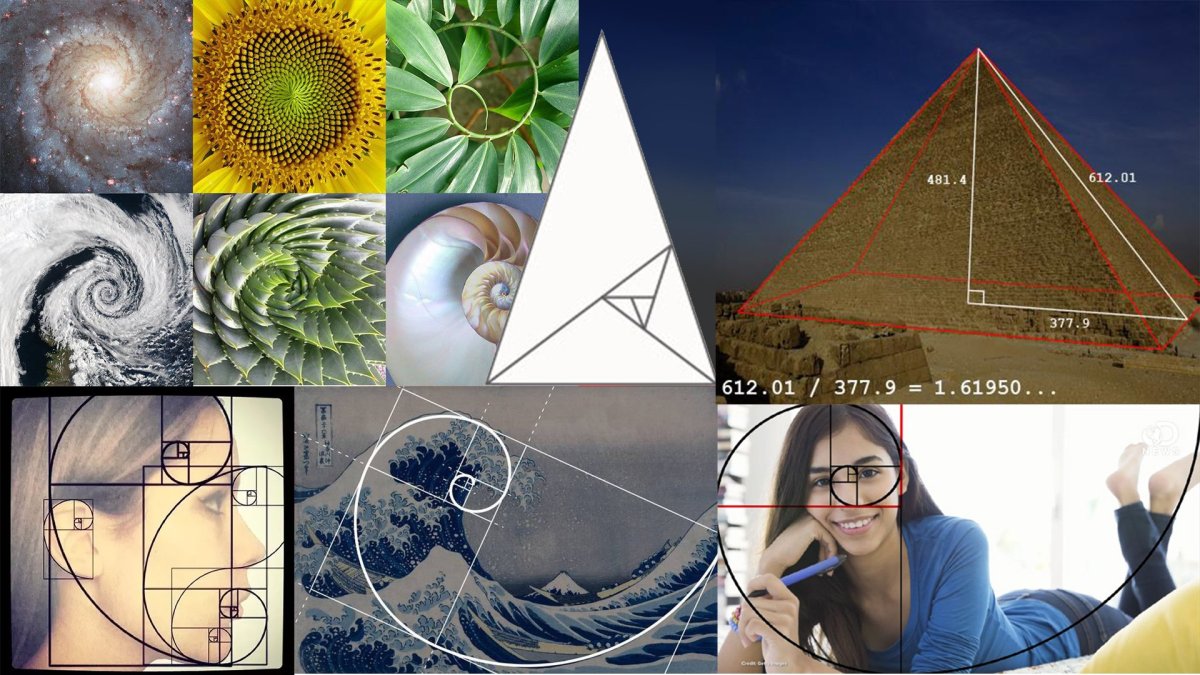 Гармония золотое сечение Фибоначчи