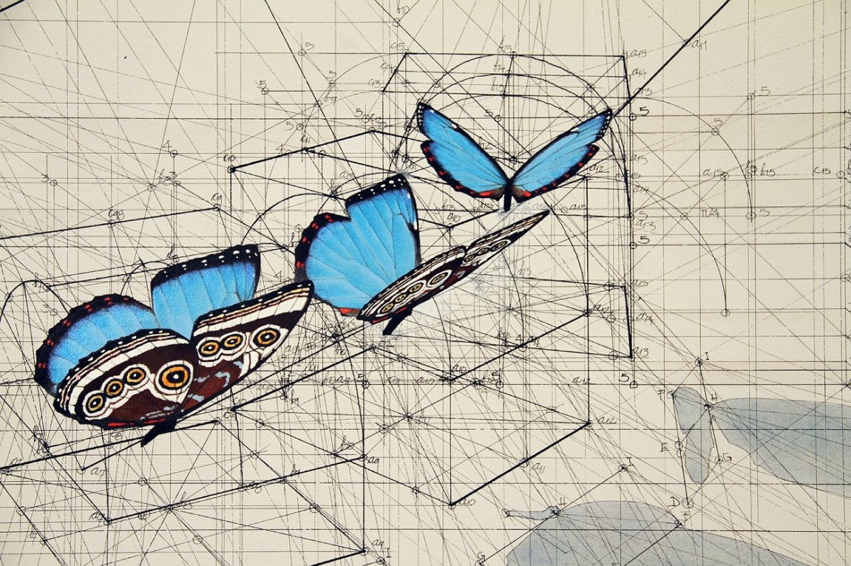 Рафаэль Араужо картины