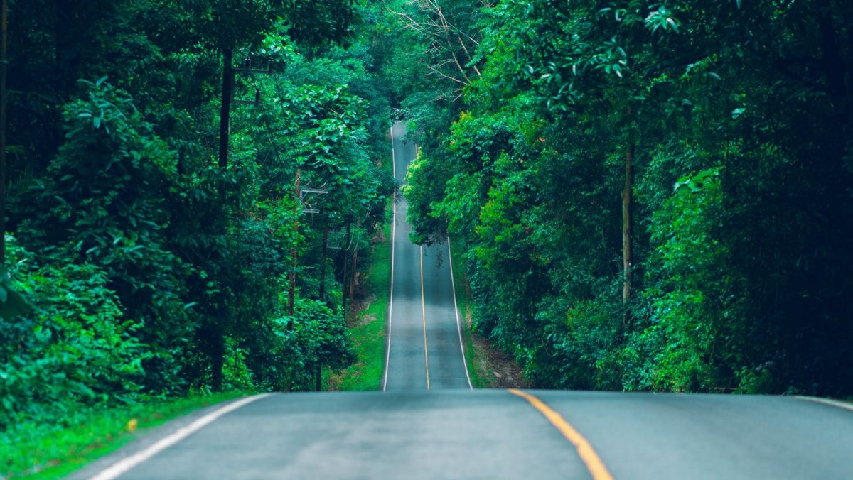 Природа дорога