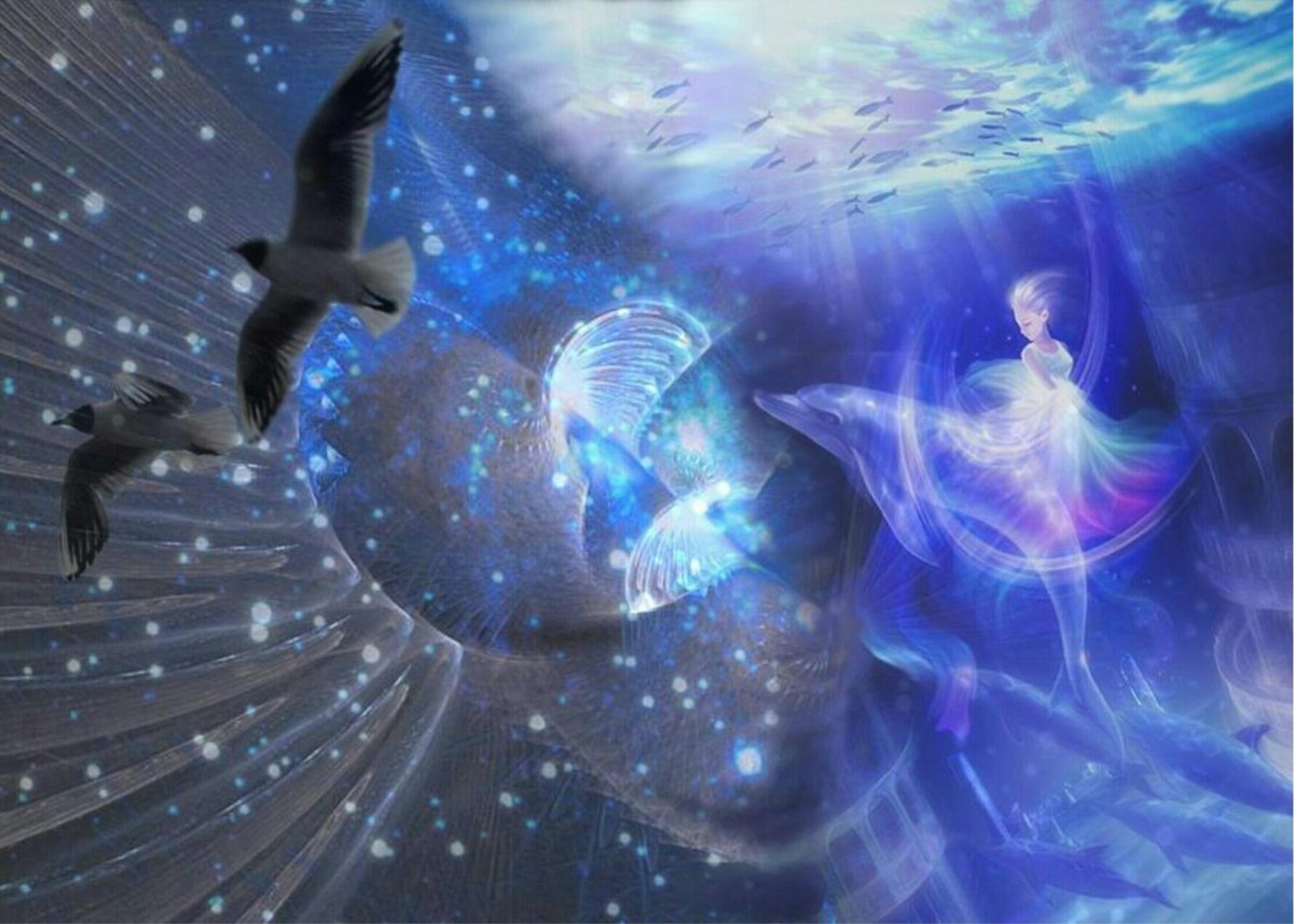 Свобода море