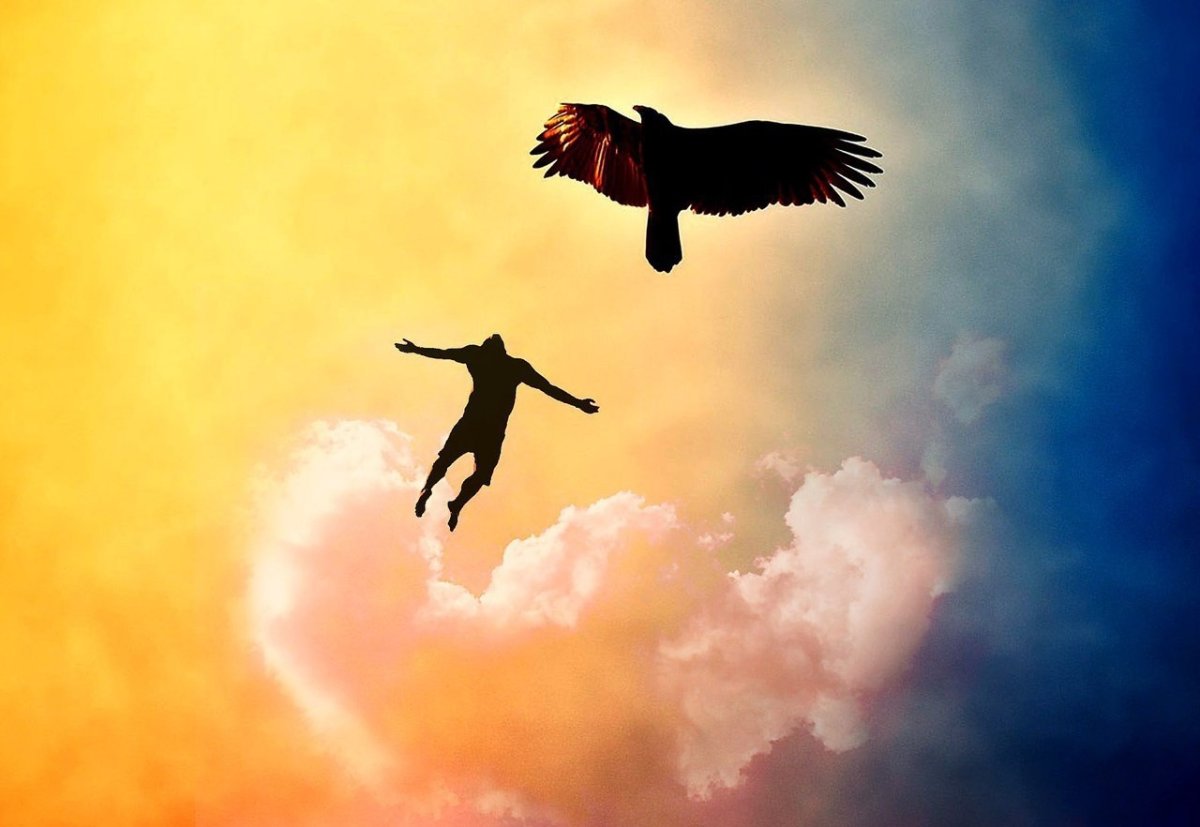 Девушка в воздухе