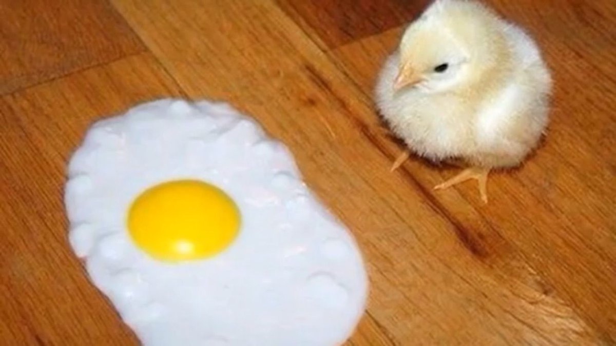 Федя картинки смешные