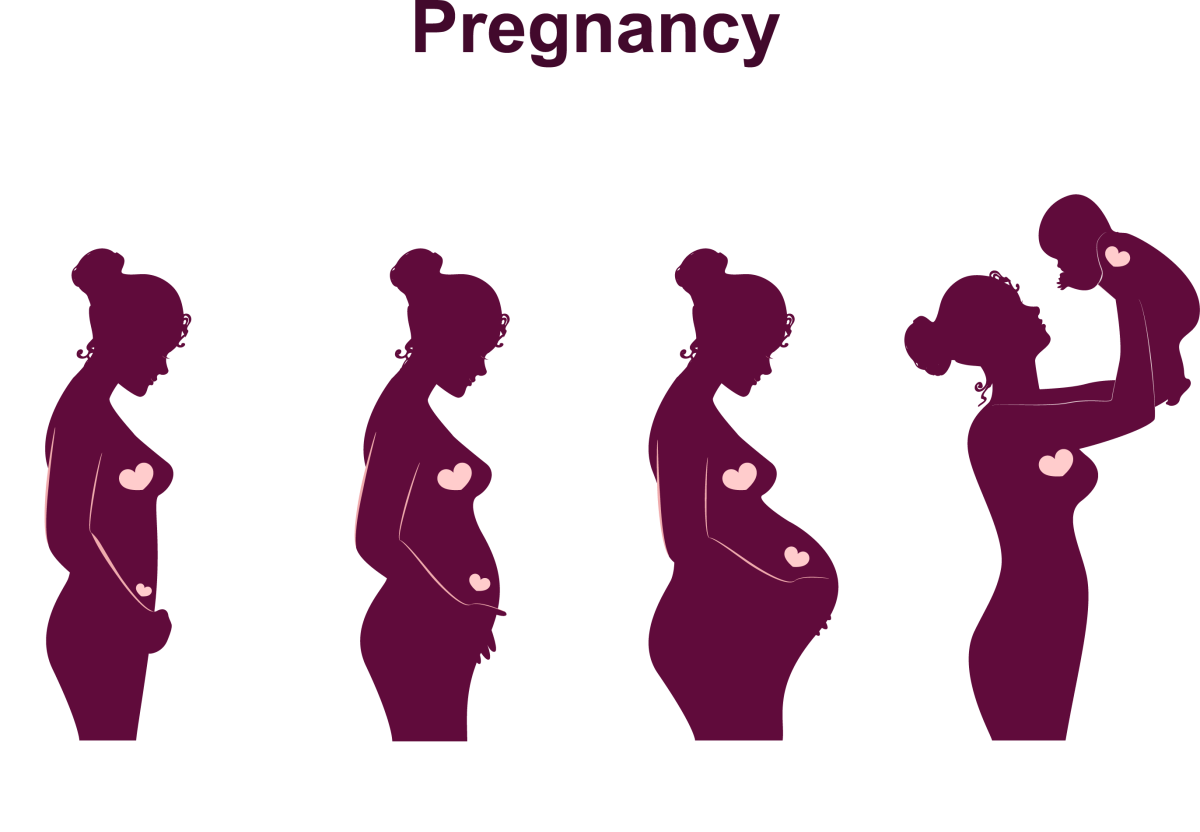 Силуэт беременной по месяцам