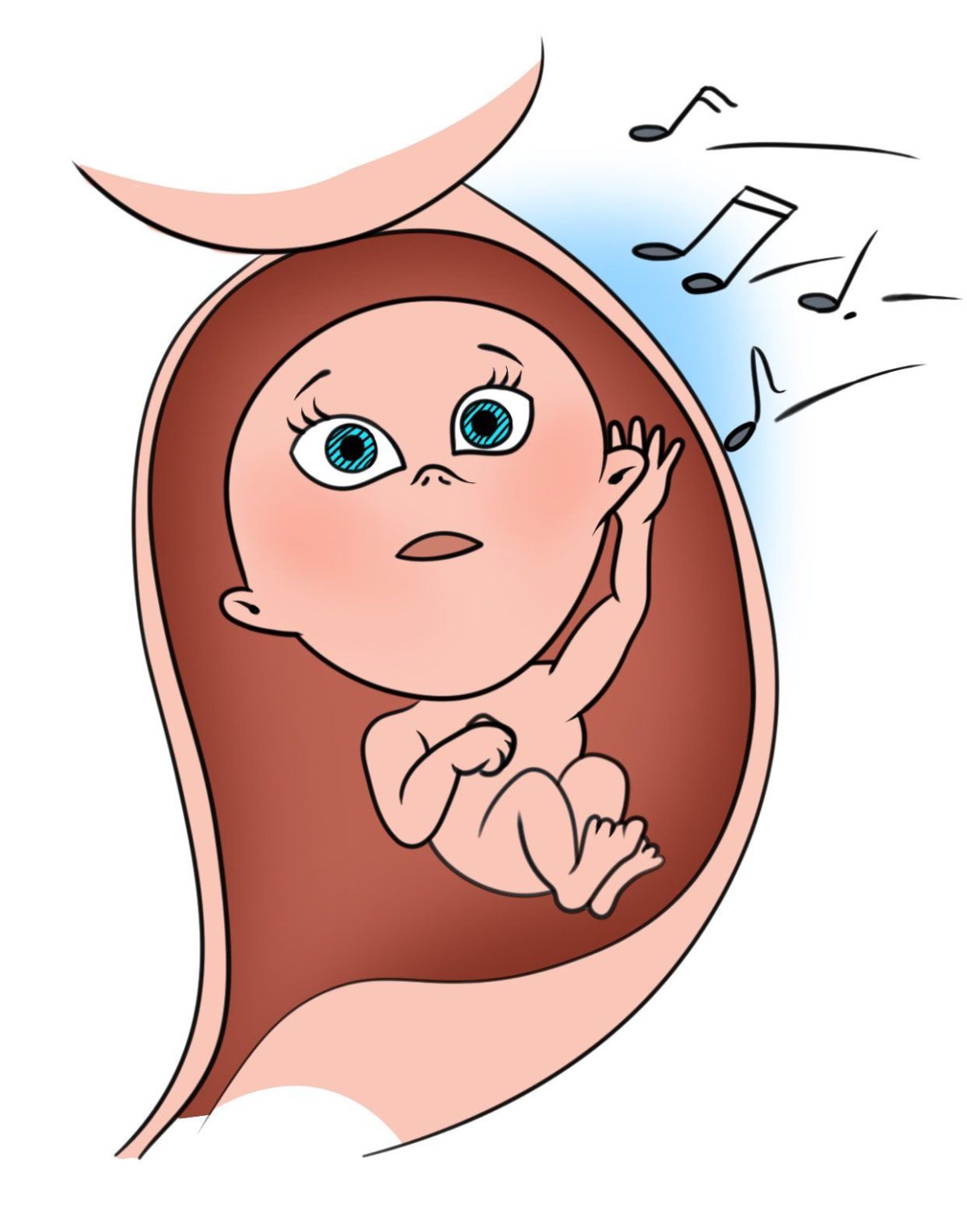 Схематичное изображение беременной женщины