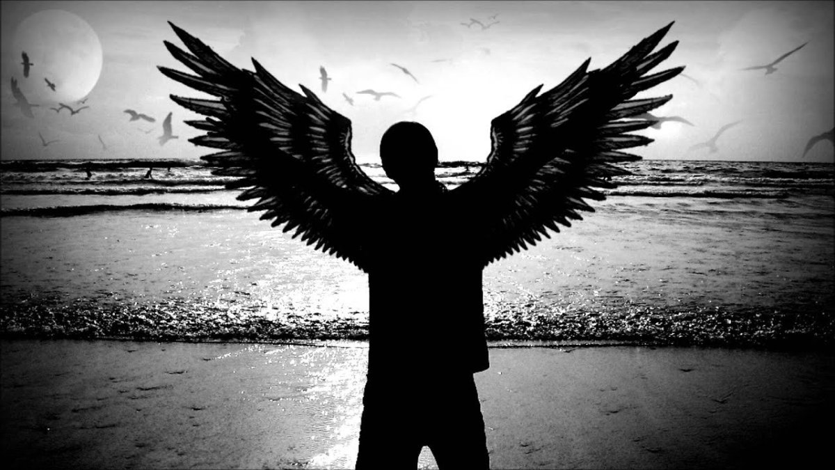 Ава для неизвестного Wing 13