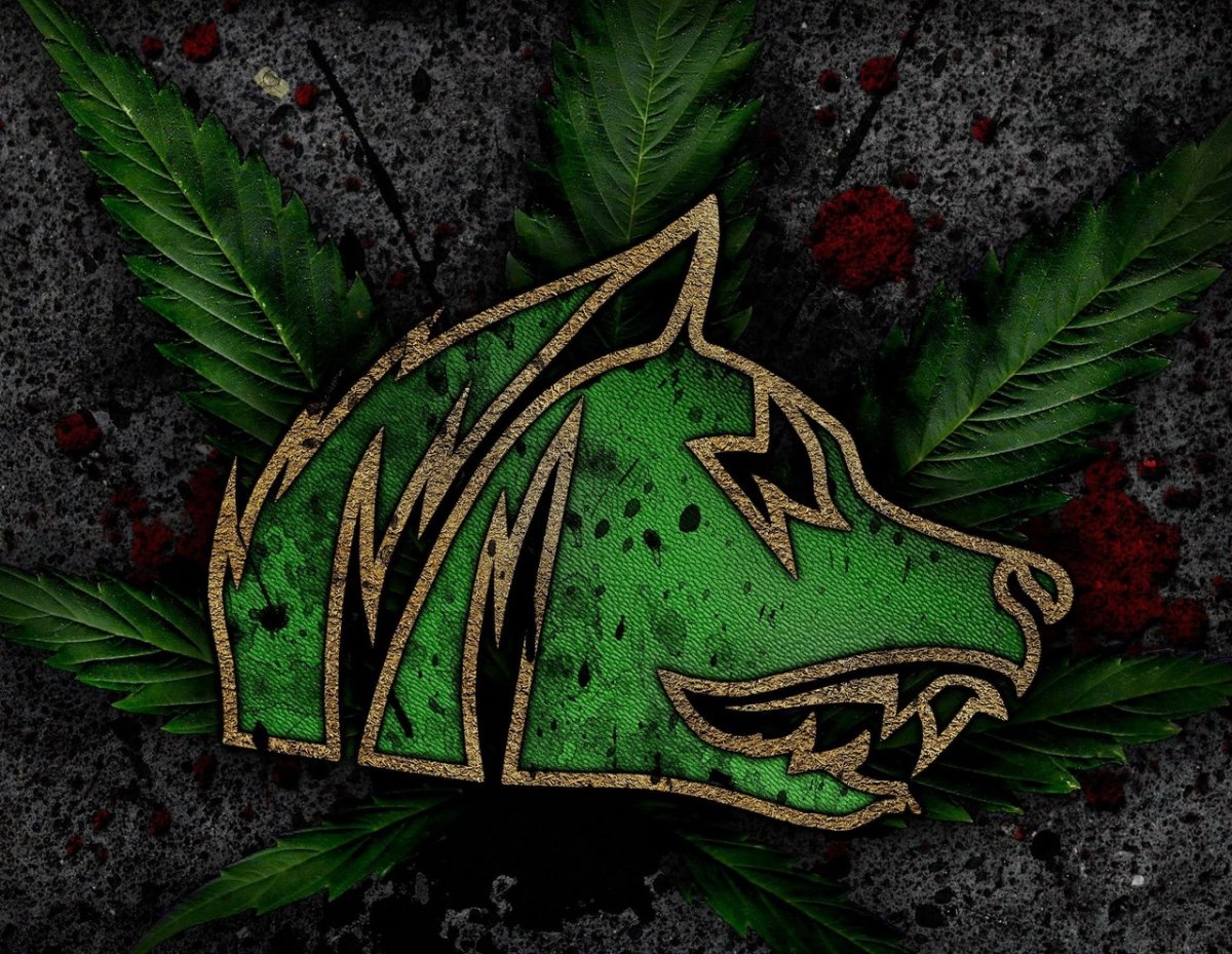 Сталкер группировка Свобода