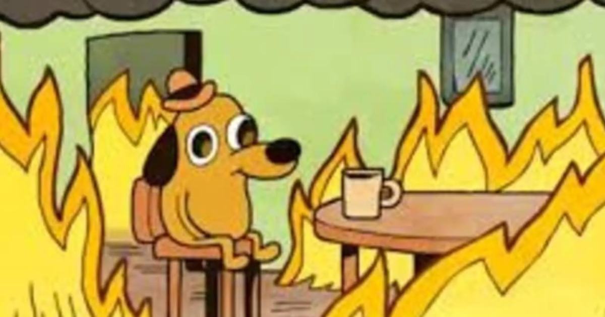 Собака горит