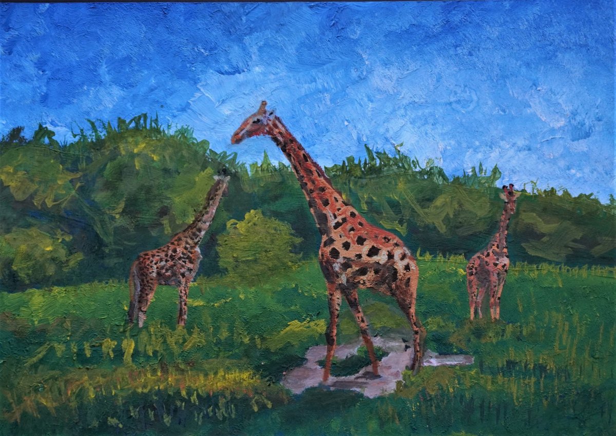 Арт жирафа