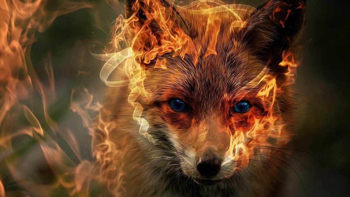 Волк синий огонь