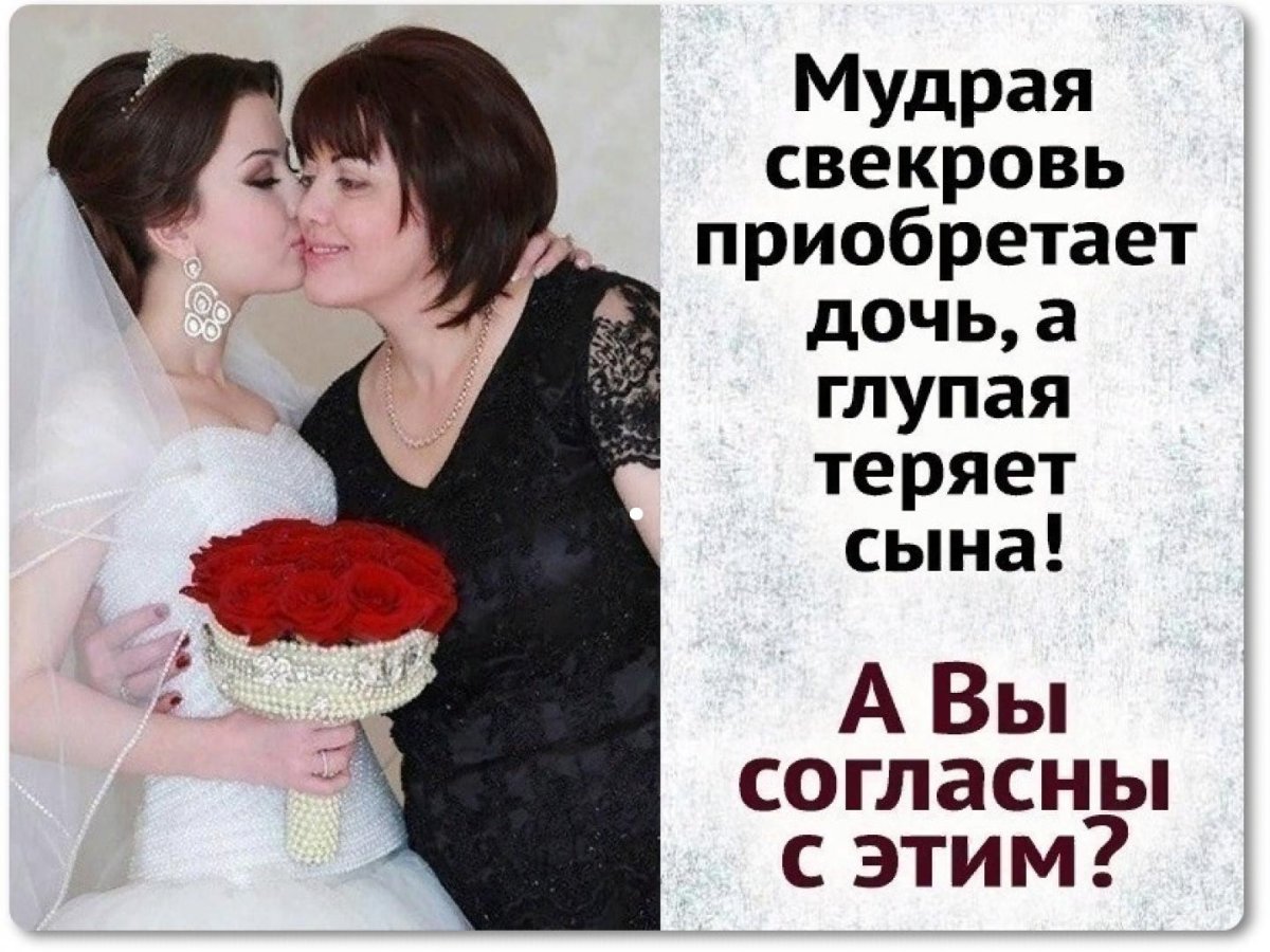 Высказывания про свекровь