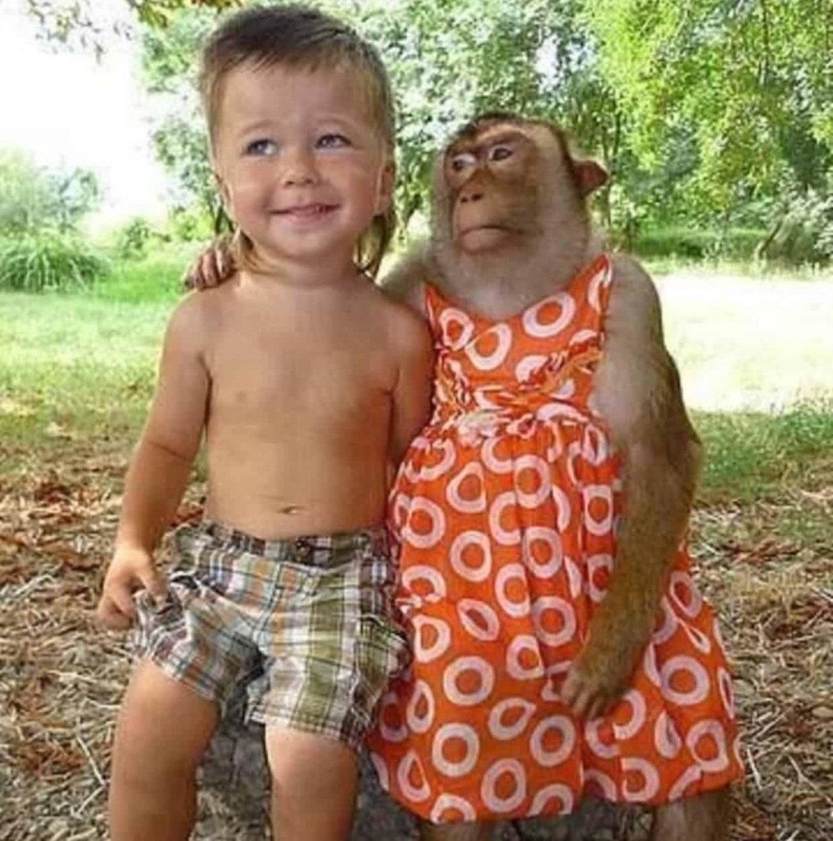 Сын глазами свекрови