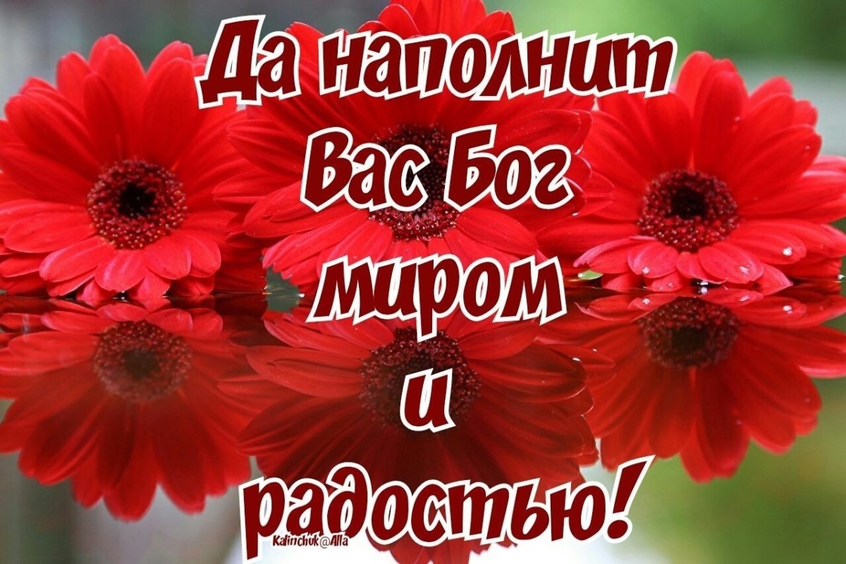 О Боге и судьбе цитаты