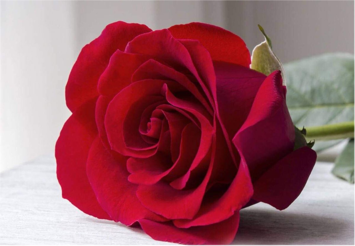 С добрым утром православные