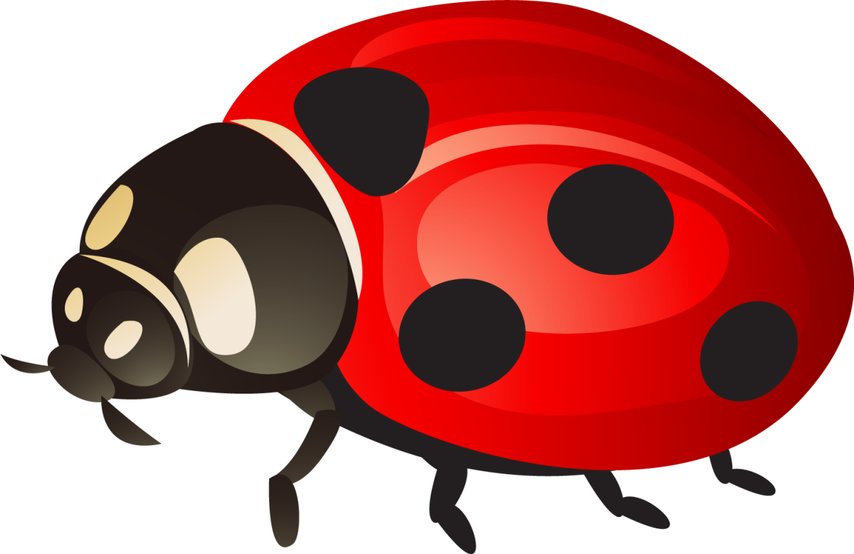 Божья коровка мультяшная