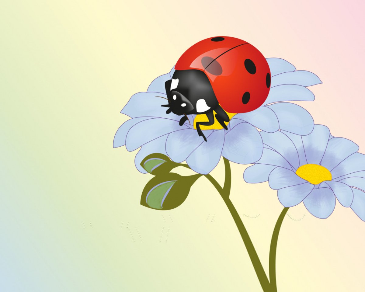 Божья коровка на цветке рисунок