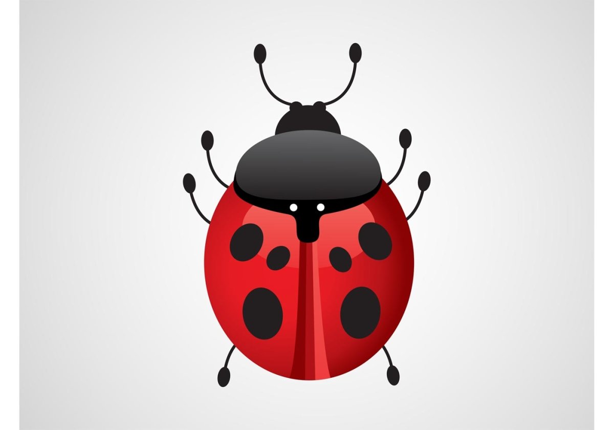 Божья коровка coreldraw