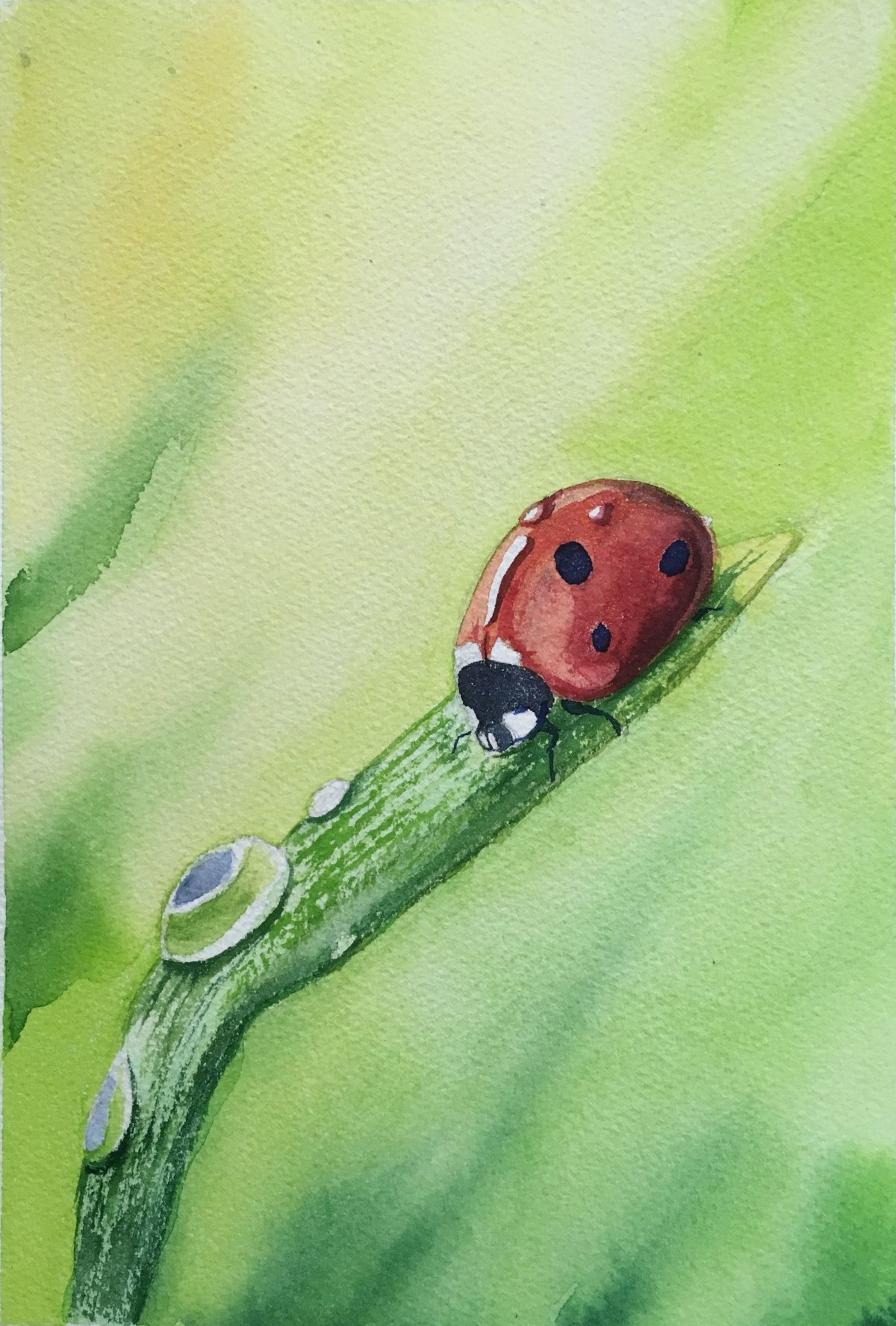 Божья коровка живопись