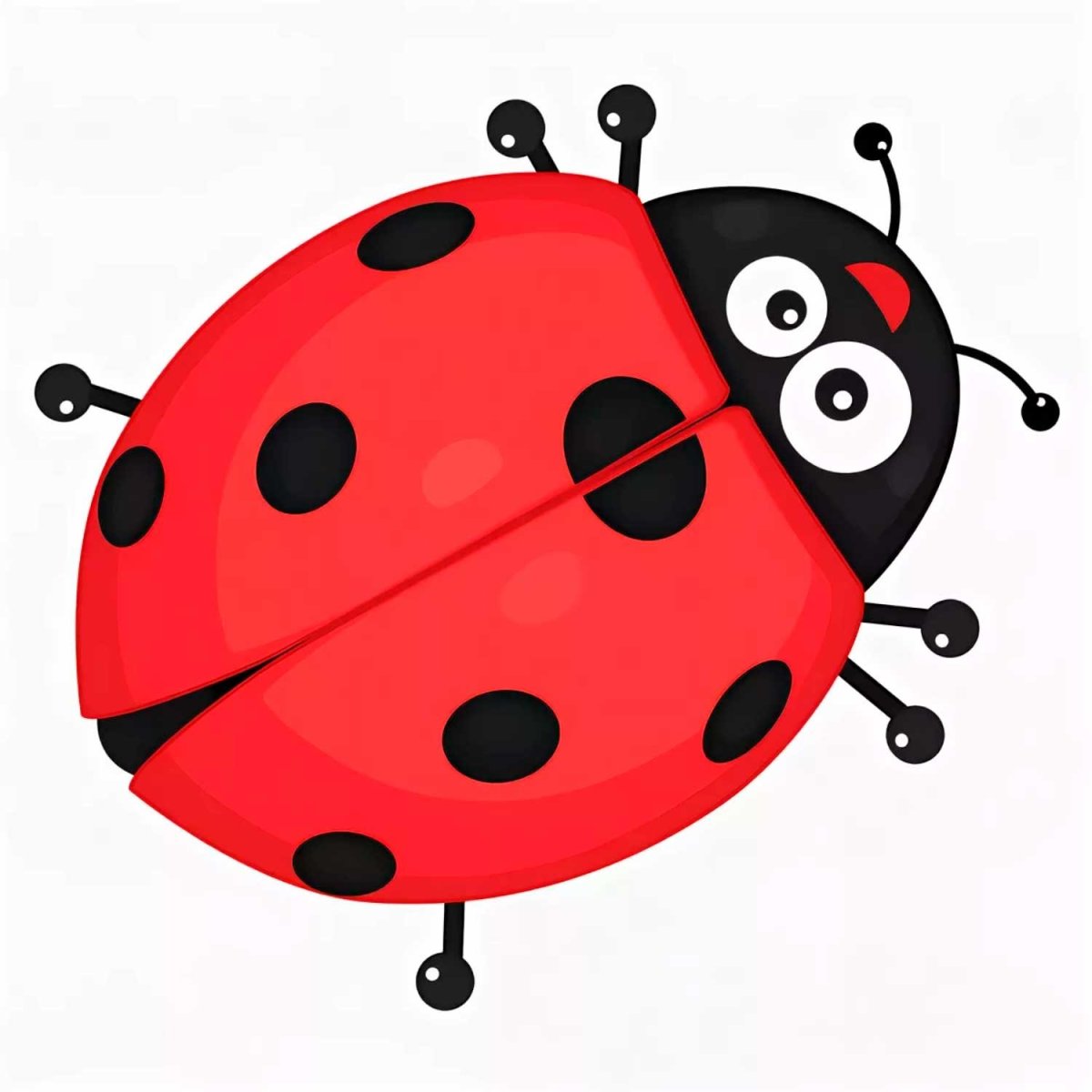 Божья коровка для детей