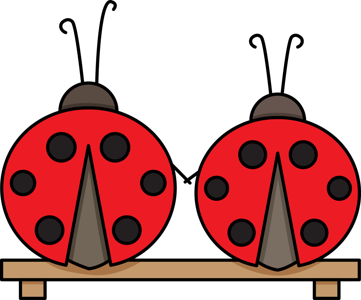 Космо Жук Божья коровка