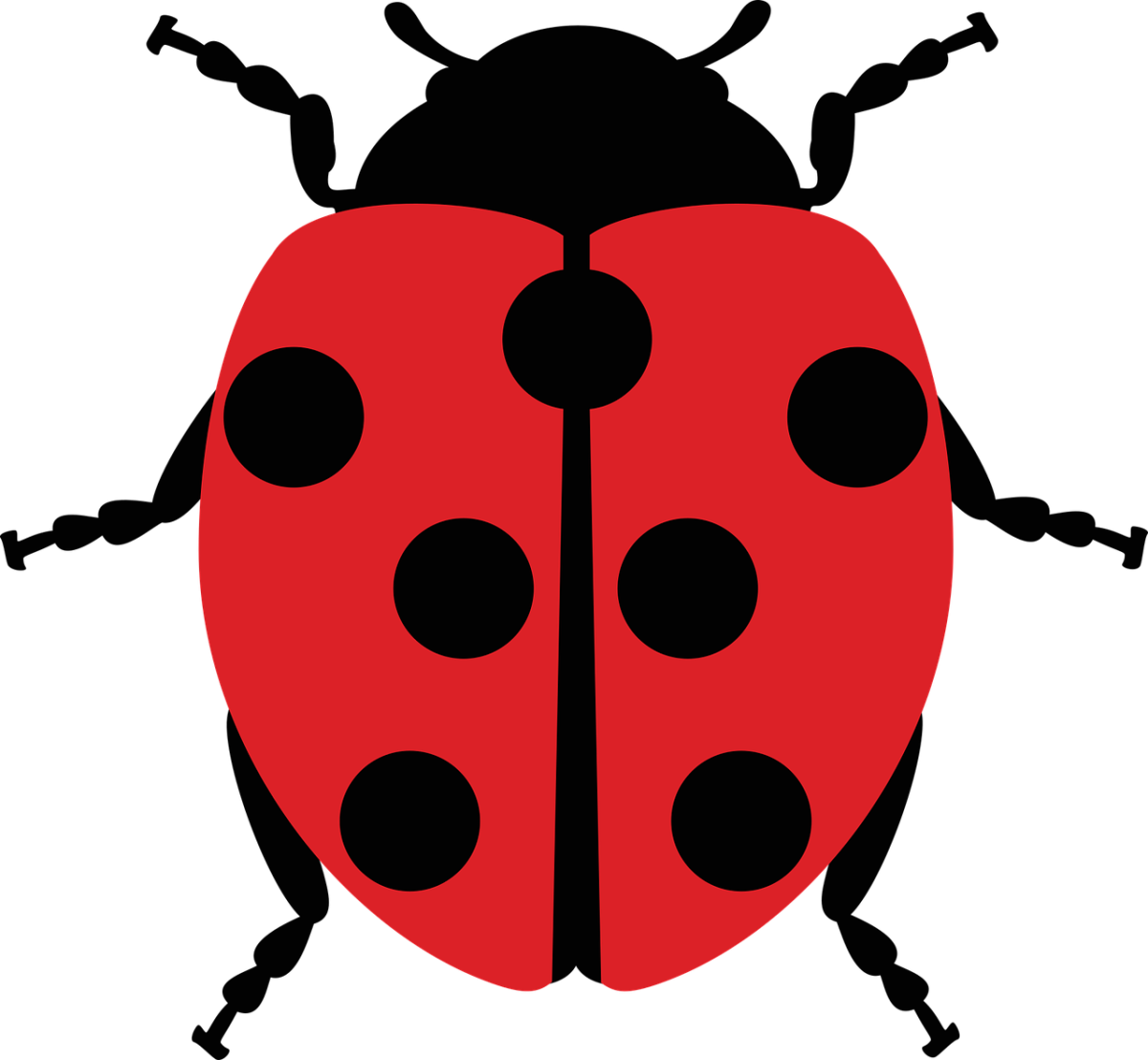 Красный Жук Божья коровка