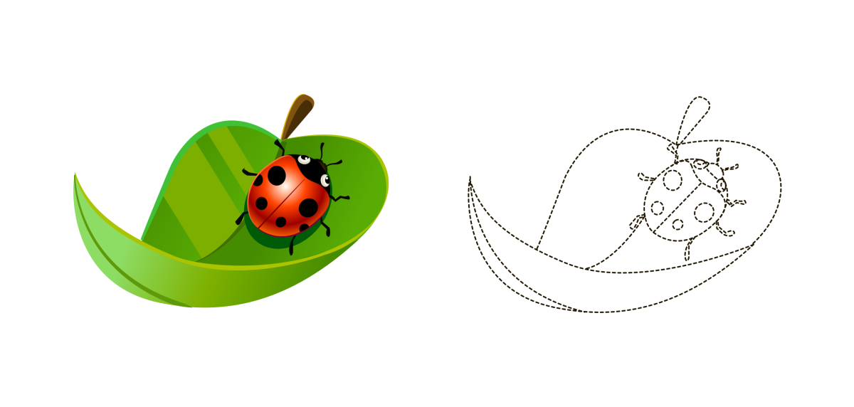 Божья коровка и лупа