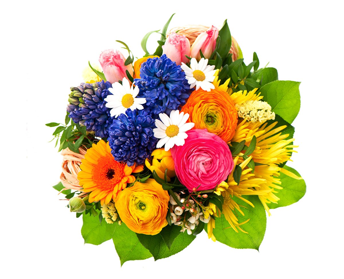 Букет цветов на белом фоне