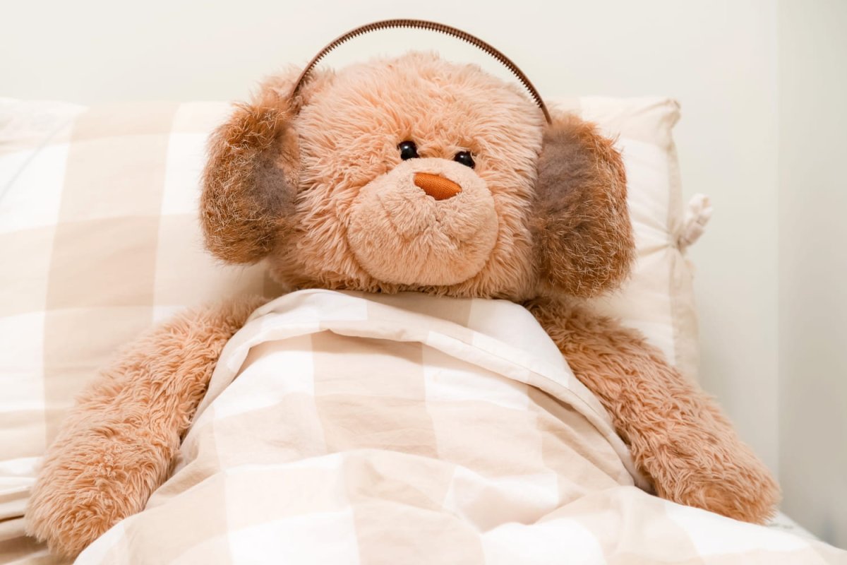 Спокойной ночи, Медвежонок!