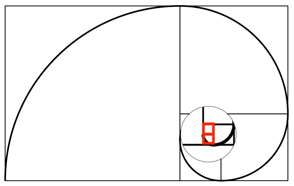 Числа Фибоначчи в пропорциях человеческого тела