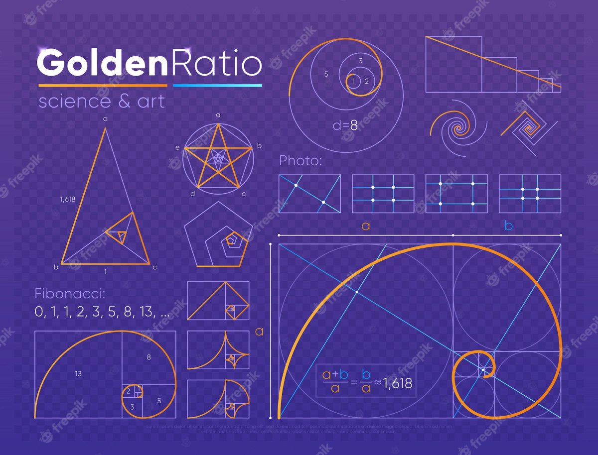 Золотое сечение макет