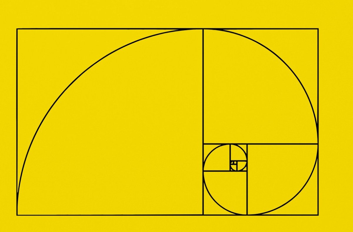 Рафаэль Араухо: золотое сечение