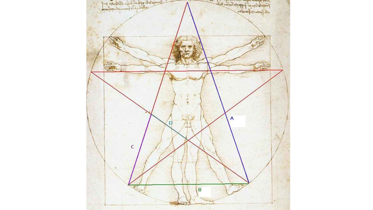 Пропорции тела Фибоначчи