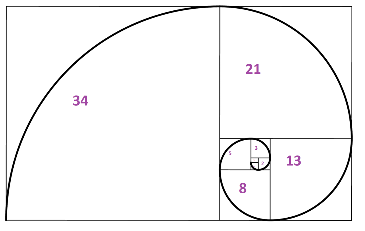 Бабочки художника Рафаэль Араухо
