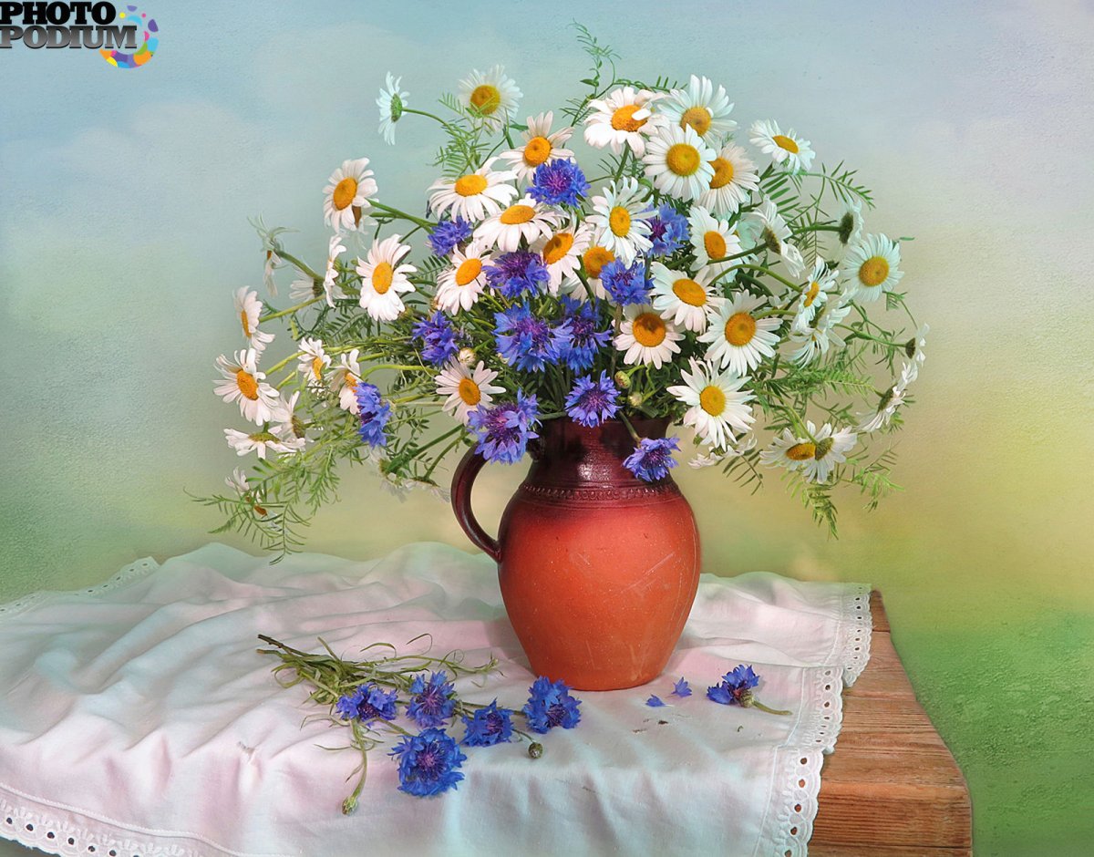 Васильки и ромашки в вазе