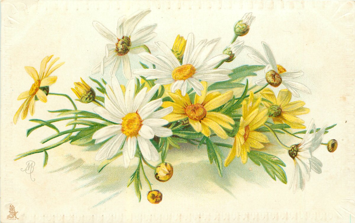 Винтажные полевые цветы