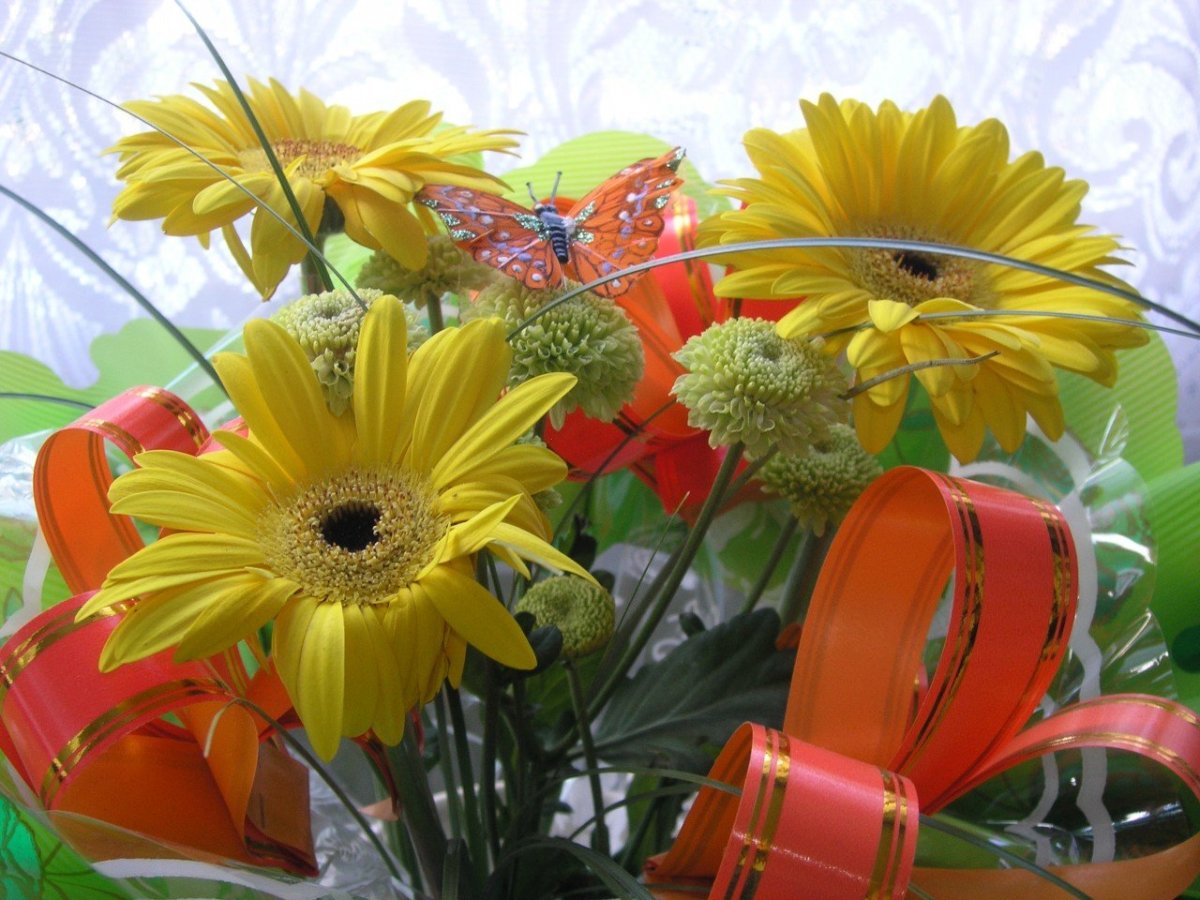 С днём рождения галочка