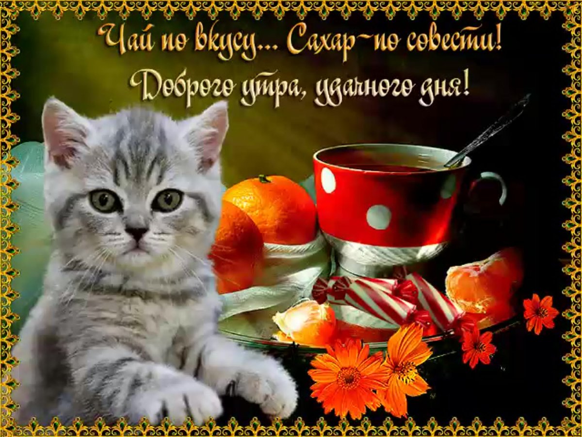 Поздравление с добрым утром