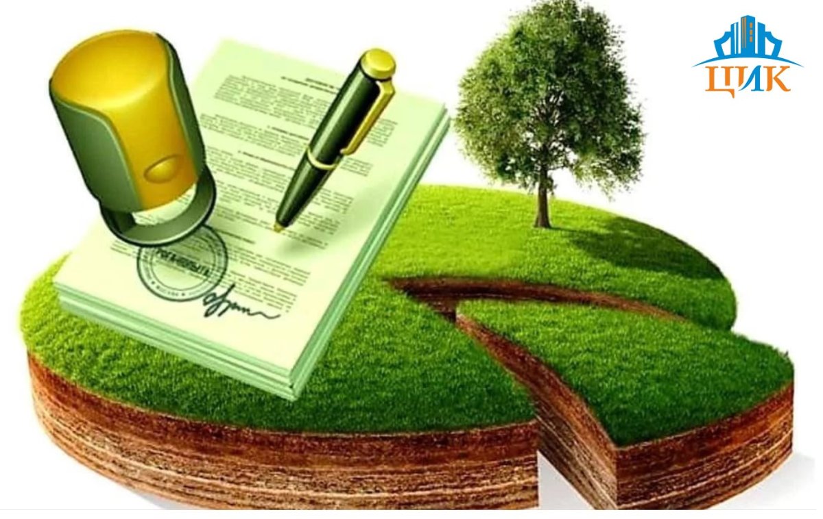 Земельный контроль