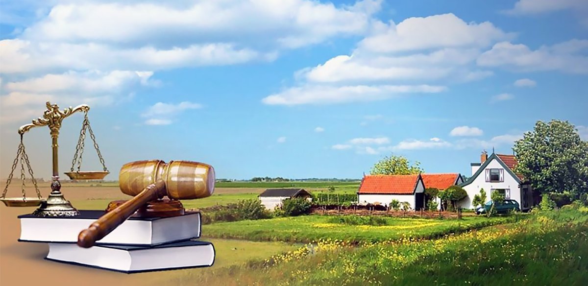 Земельный участок на белом фоне