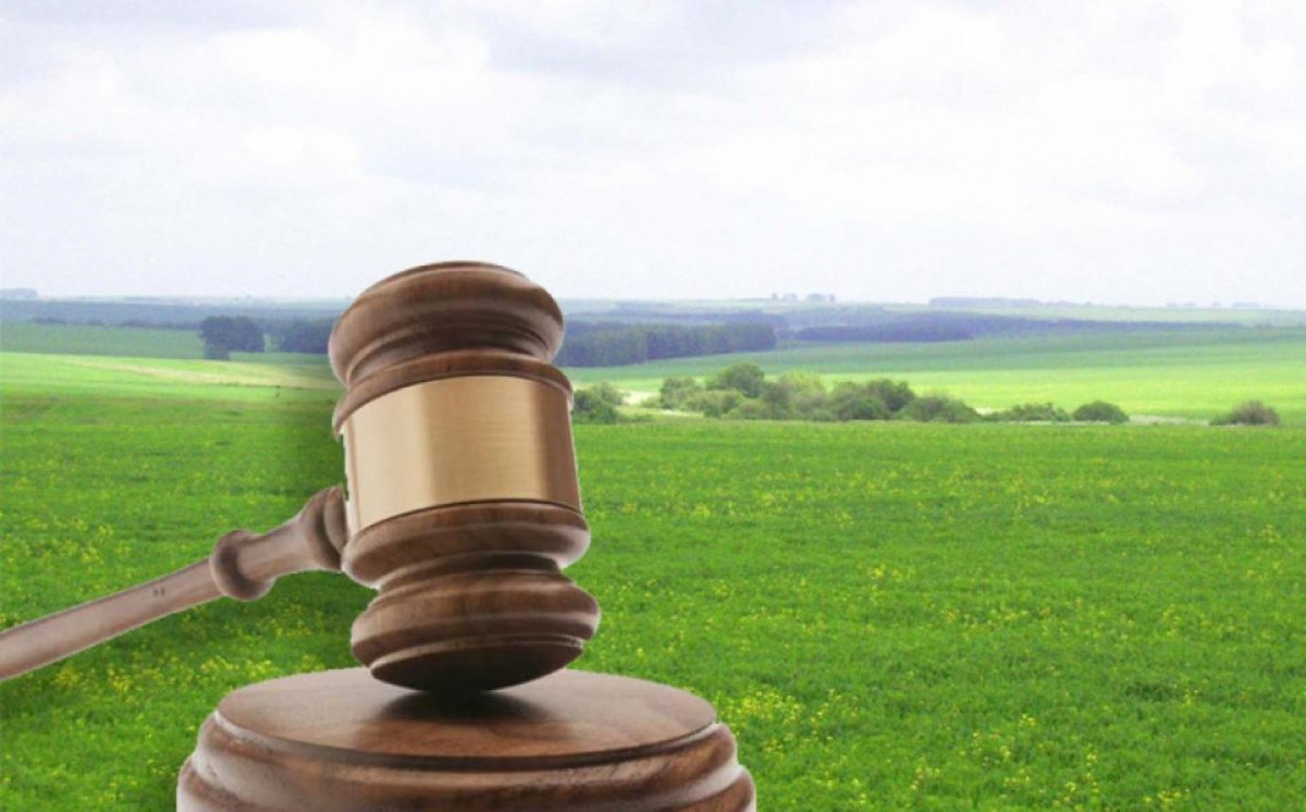 Дача надпись