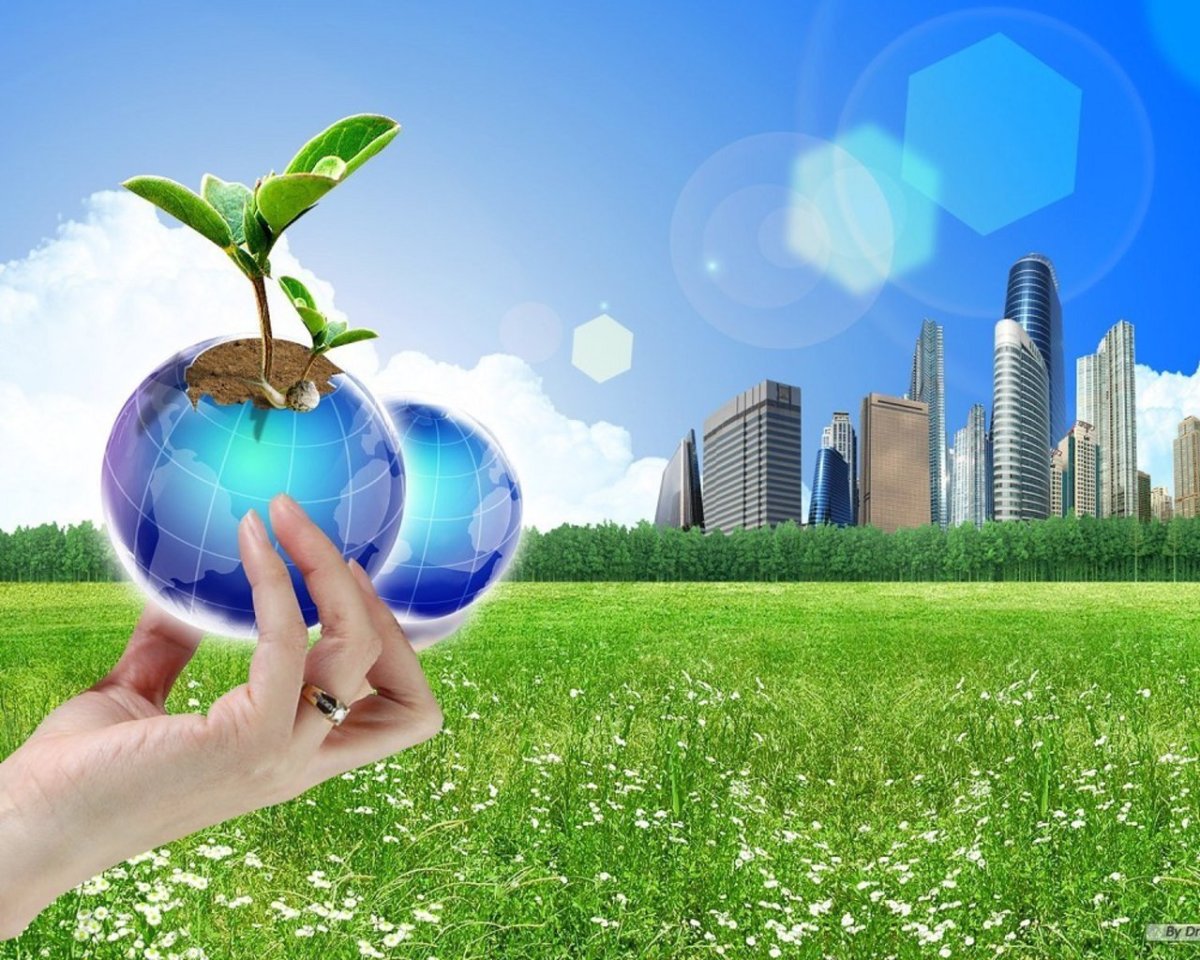 Земельные отношения