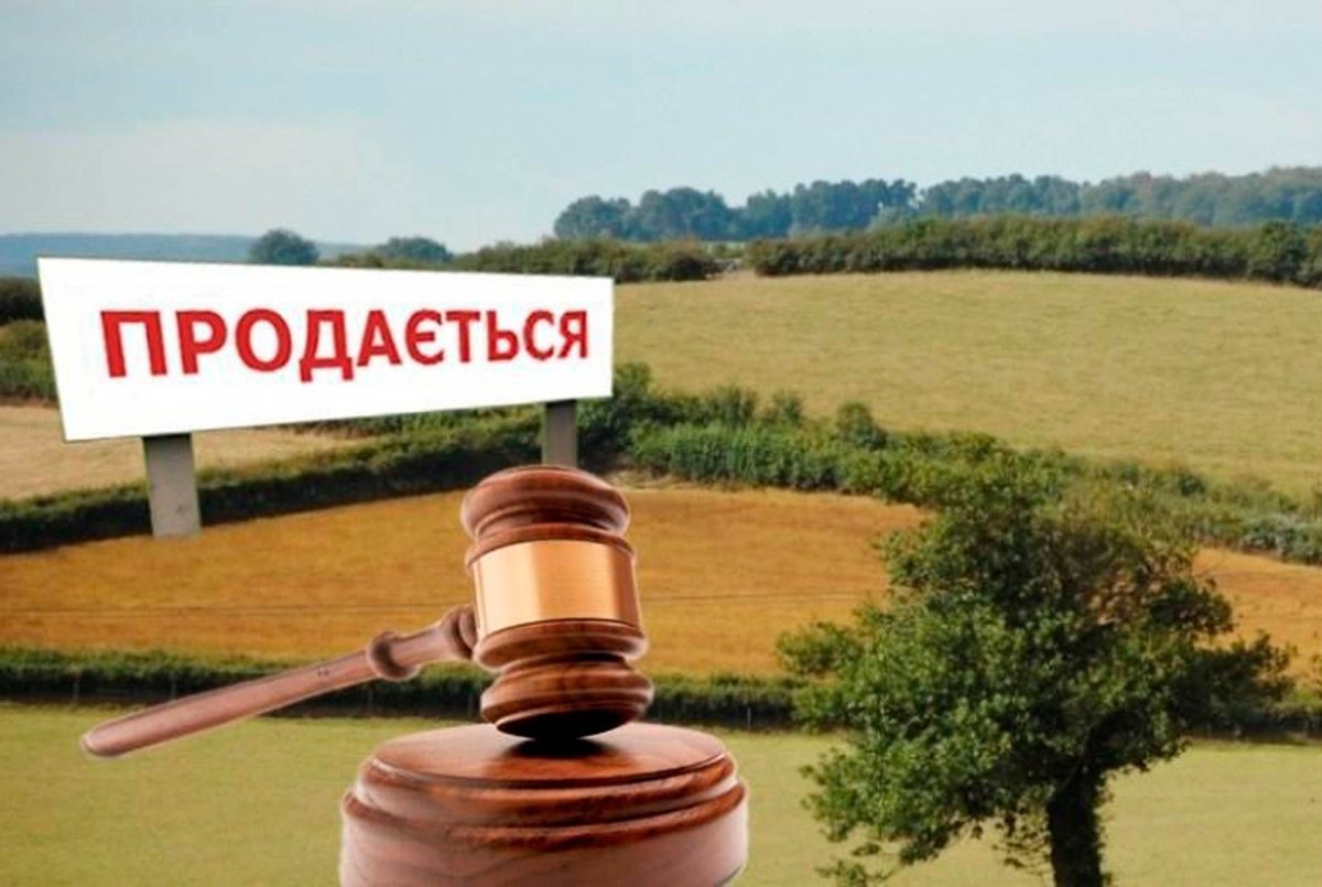 Экология домик