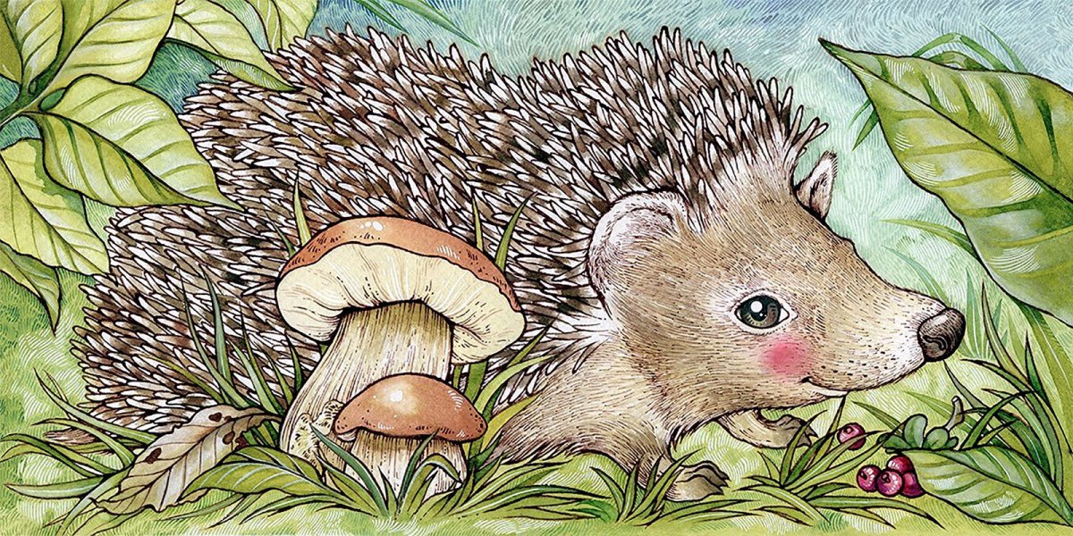 Ежик в лесу рисунок