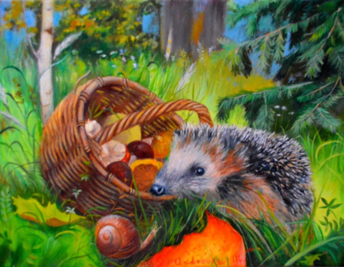 Ежи и улитки