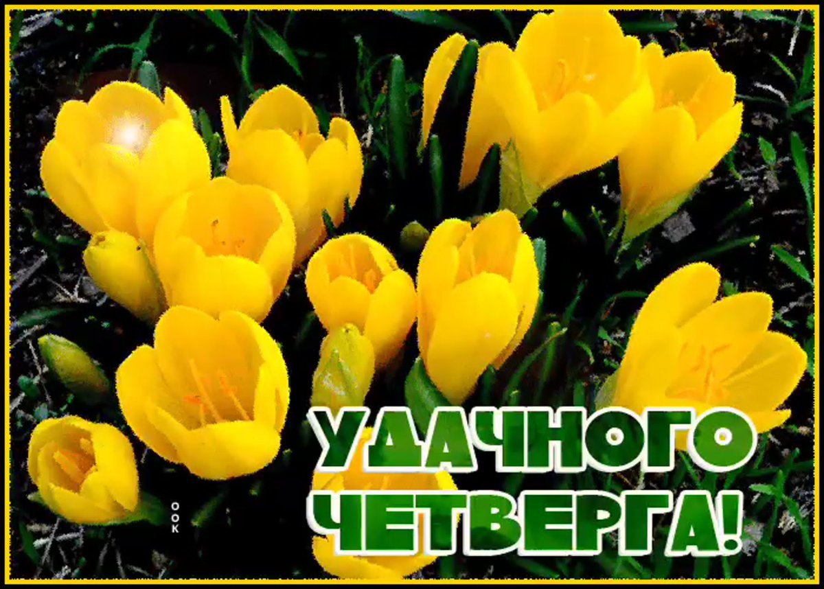 Отличного мартовского четверга